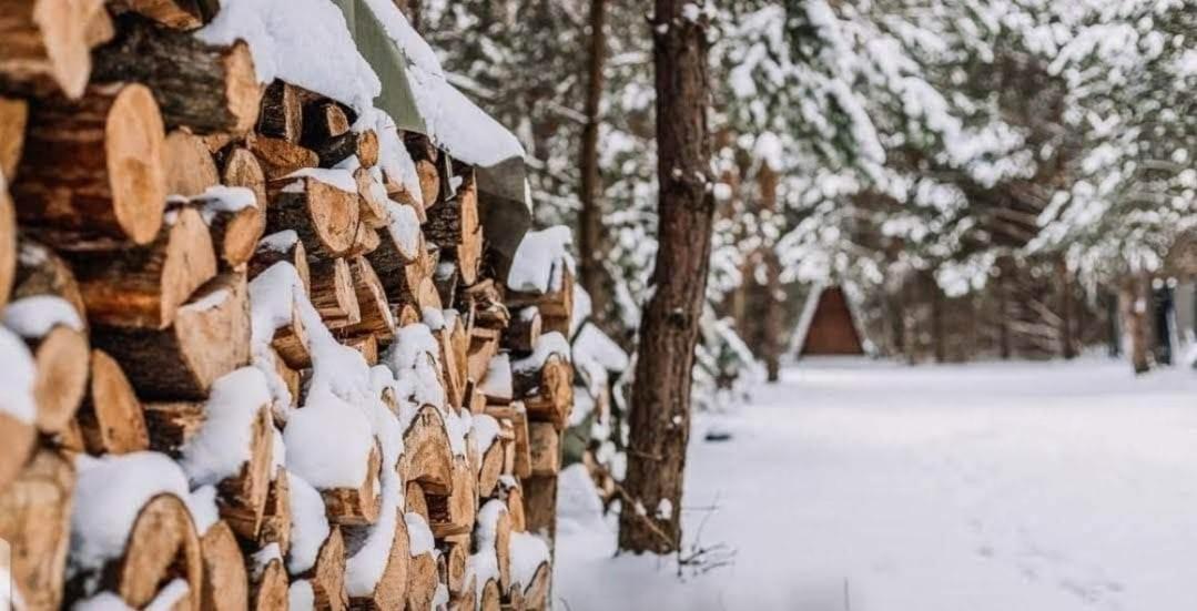 Sosnowy Raj Domki Nad Wkra Popielzyn Dolny Exterior foto